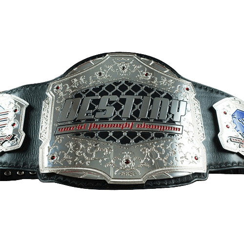 Destiny MMA Championship Belt