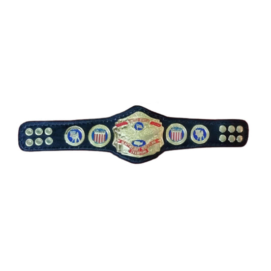 NWA United States USA Wrestling Championship Mini Replica Title Belt