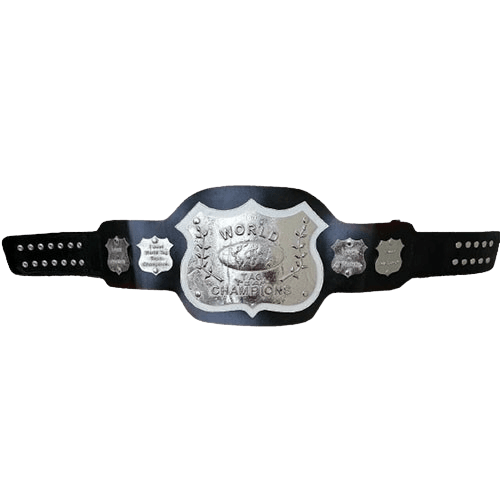 NWA World Tag Team Championship Belt