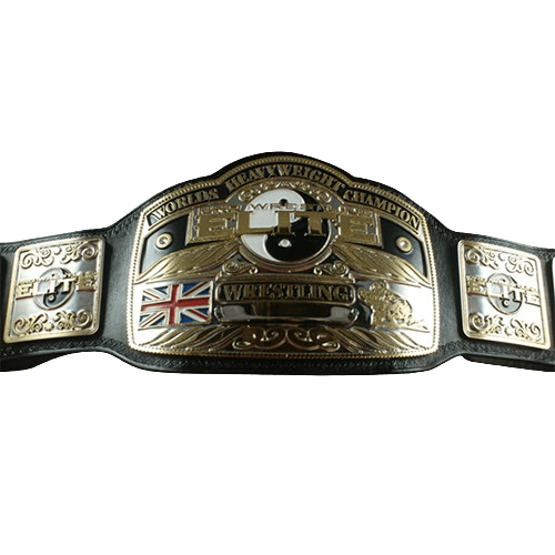 Pro Wrestling Elite Heavyweight Championship Title belt