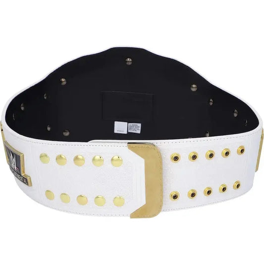 WWE Intercontinental Championship