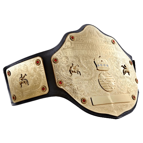 WWE Big Gold World Heavyweight Commemorative Championship Belt
