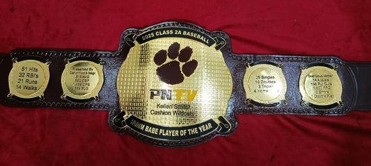 (NEW DESIGNS) Custom Championship Title Belts (4mm ZINC) - Customize Wrestling Belts Wrestling Belt Strapposhleathers - 14b7Design 26Silver(NEW DESIGNS) Custom Championship Title Belts (4mm ZINC)Wrestling Belt Strapposhleathers - 14b7