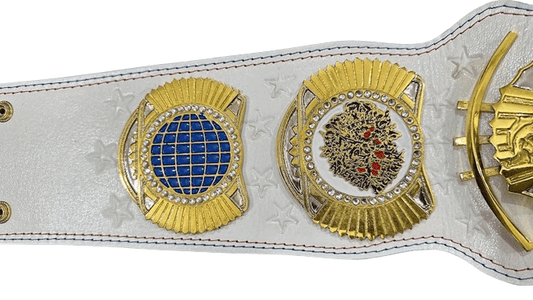 WWE Cody Rhodes American Nightmare Championship Title Belt