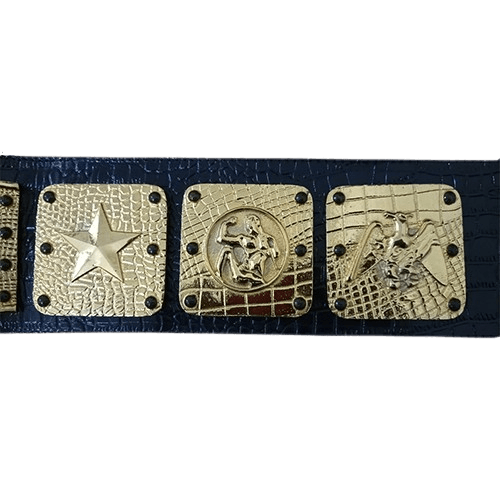 NWA Americas Heavyweight Wrestling Champion Belt