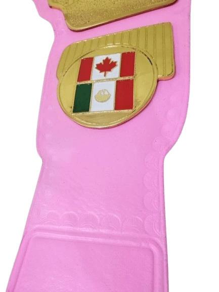 WWF Women Heavyweight Wrestling Championship Replica Title Belt