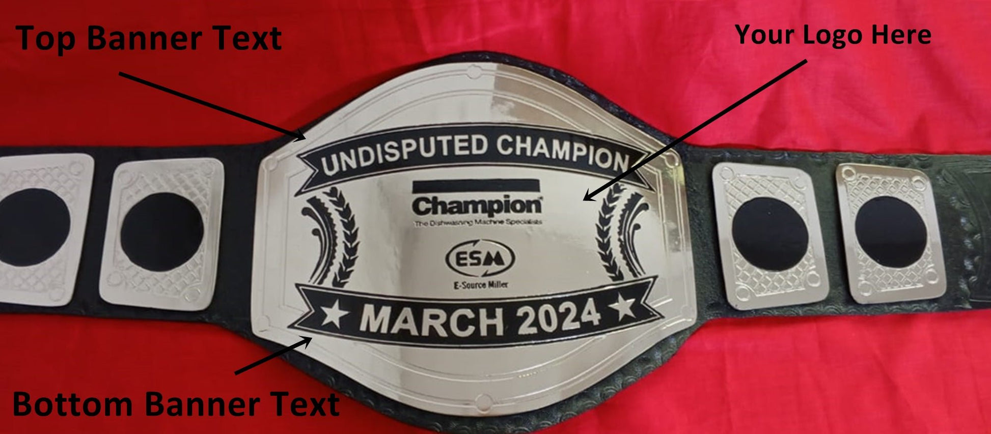 Custom Name and ESM Logo Wrestling Championship Belt - Customize Wrestling Belts Wrestling Customize Beltposhleathers - 14b7Black2mm BrassCustom Name and ESM Logo Wrestling Championship Belt - Customize Wrestling BeltsWrestling Customize Beltposhleathers - 14b7