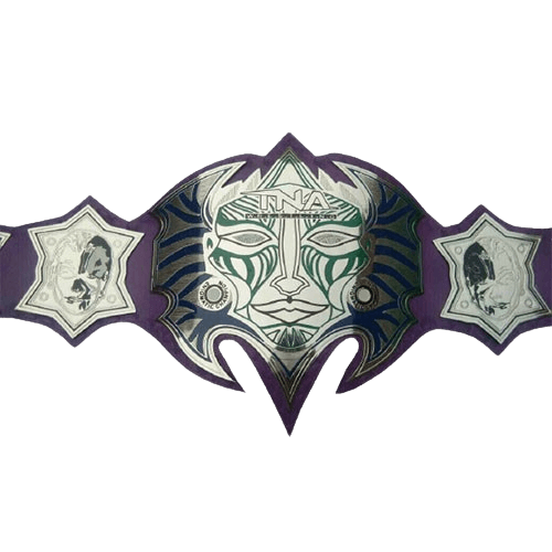 Jeff Hardy Enigmatic MMA Undisputed Championship Belt