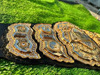 Championship Belt CNC-Made Heavyweight Replica
