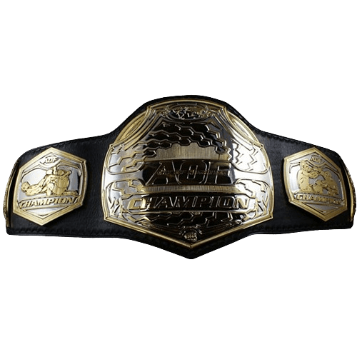 MMA Art of Champion Fighting Championship Belt