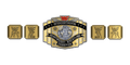 Custom Championship Belt With Personalized Design