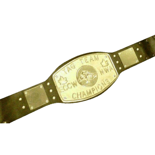 NWA Elite Canadian Tag Team Wrestling Championship Belt