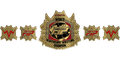 Custom Championship Belt With Personalized Design ZBCB-44
