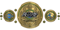 Custom Championship Belt With Personalized Design