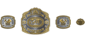 Custom Championship Belt With Personalized Design