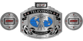Custom Championship Belt With Personalized Design ZBCB-65