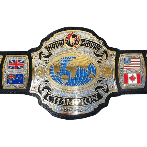 Hook N Shoot MMA World Championship Belt
