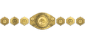 Custom Championship Belt With Personalized Design
