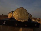 Championship Belt 3D Big Gold Crumrine CNC Made