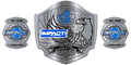 Custom Championship Belt ZBCB-70 Design