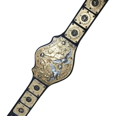 IWA International Wrestling Tag Team Championship Title Belt