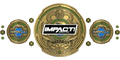 Custom Championship Belt With Personalized Design