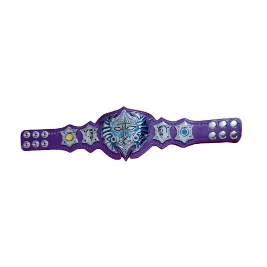 Jeff hardy mini championship replica belt
