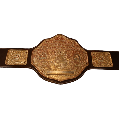 Jeweler Style Big Gold Championship Belt