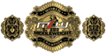 Custom Championship Belt With Personalized Design