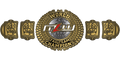 Custom Championship Belt With Personalized Design