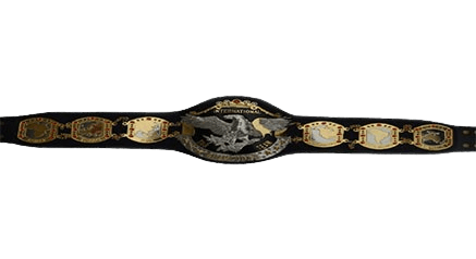 NWA International Wrestling Tag Team Championship Belt