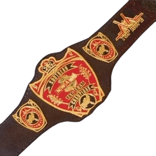 NWA Southern Tag Team Champion Belt Old Championship USA Top