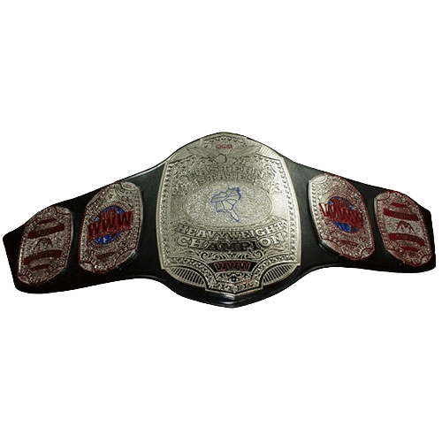 NWA WWW Eastern States Heavyweight Championship belt