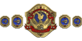 Custom Championship Belt With Personalized Design ZBCB-97