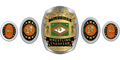 Custom Championship Belt With Personalized Design