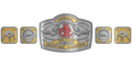 Custom Championship Belt With Personalized Design