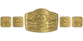 Custom Championship Belt With Personalized Design