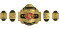 Custom Championship Belt With Personalized Design