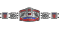 Custom Championship Belt With Personalized Design