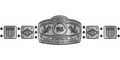 Custom Championship Belt With Personalized Design
