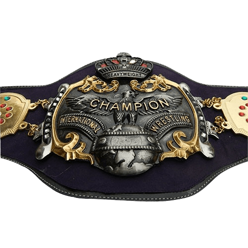 Old NWA International Heavyweight Wrestling Champion Belt