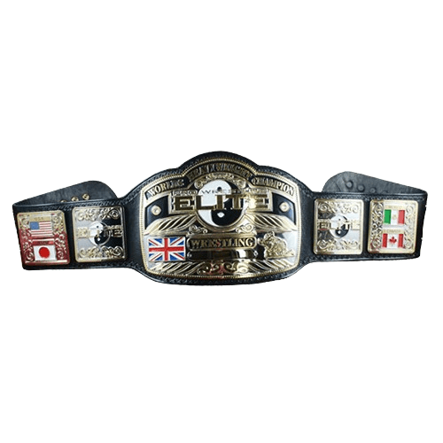 Pro Wrestling Elite Heavyweight Championship Title belt
