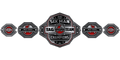 Custom Championship Belt With Personalized Design