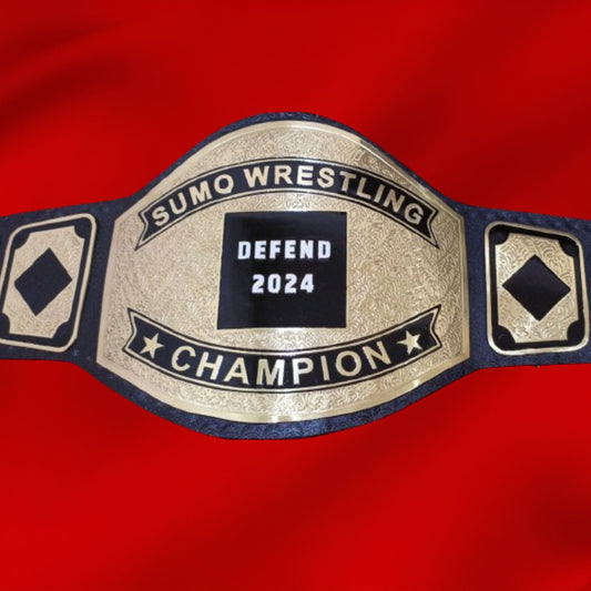 Custom Name and Defend Title 2024 Wrestling Championship Belt