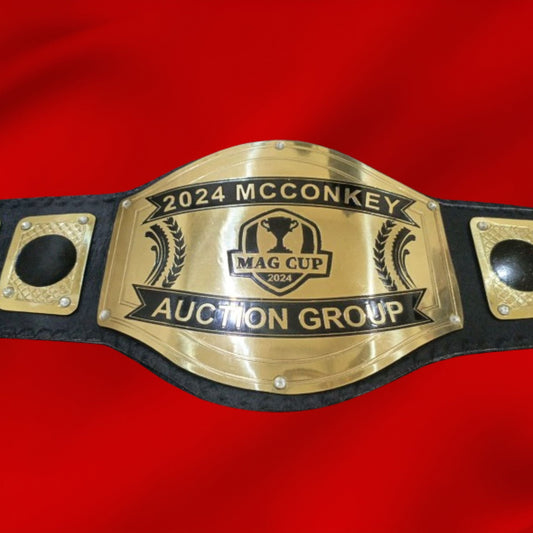 Custom Trophy Cup Logo Wrestling Championship Belt