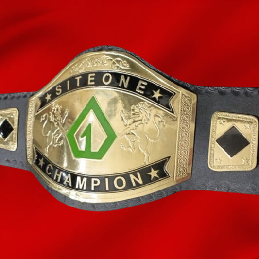 Custom Name and One Triangle Logo Wrestling Championship Belt