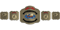 Custom Championship Belt With Personalized Design