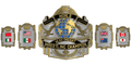 Custom Championship Belt With Personalized Design ZBCB-152