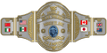 Custom Championship Belt ZBCB-161 Design