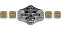 Custom Championship Belt With Personalized Design